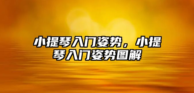 小提琴入門姿勢，小提琴入門姿勢圖解