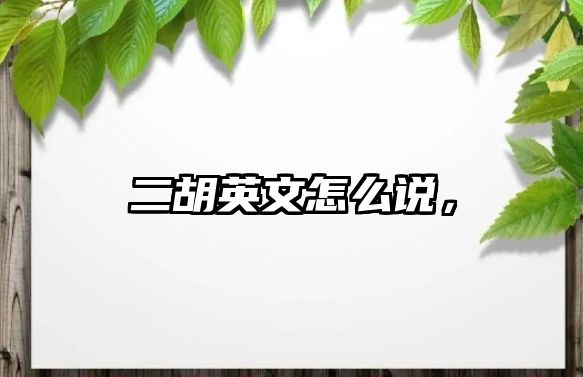 二胡英文怎么說，