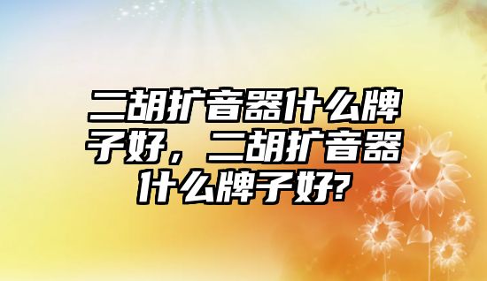 二胡擴音器什么牌子好，二胡擴音器什么牌子好?