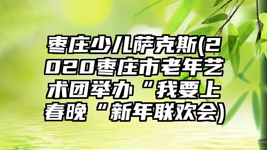 棗莊少兒薩克斯(2020棗莊市老年藝術團舉辦“我要上春晚“新年聯歡會)