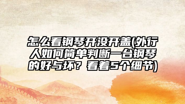 怎么看鋼琴開沒開蓋(外行人如何簡單判斷一臺鋼琴的好與壞？看著5個細節)