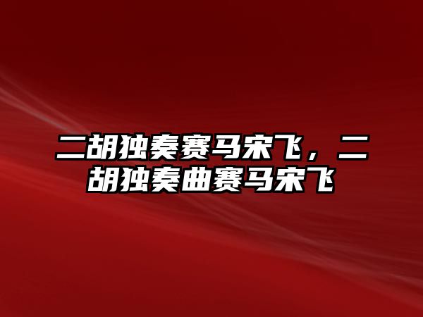 二胡獨奏賽馬宋飛，二胡獨奏曲賽馬宋飛