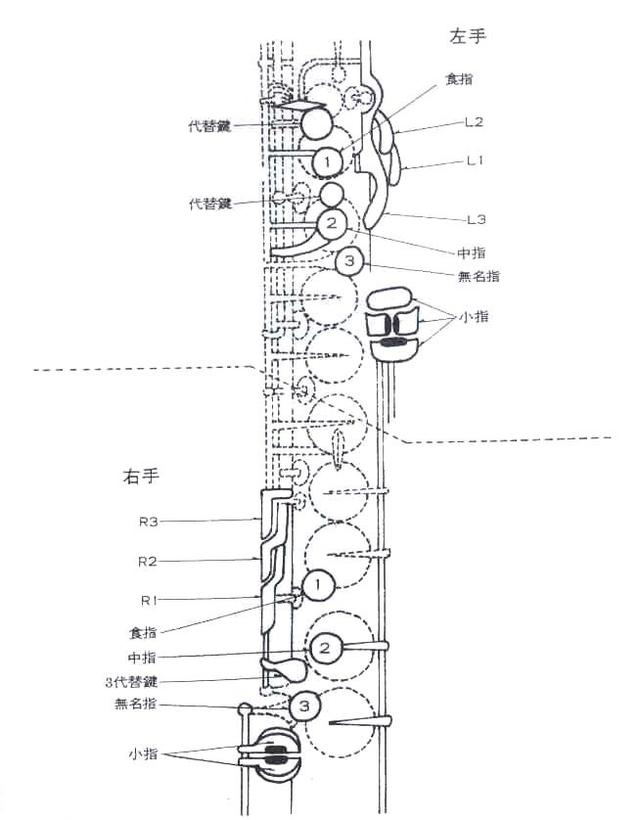 三張圖帶你認識薩克斯！初學者必備薩克斯結構圖文詳解