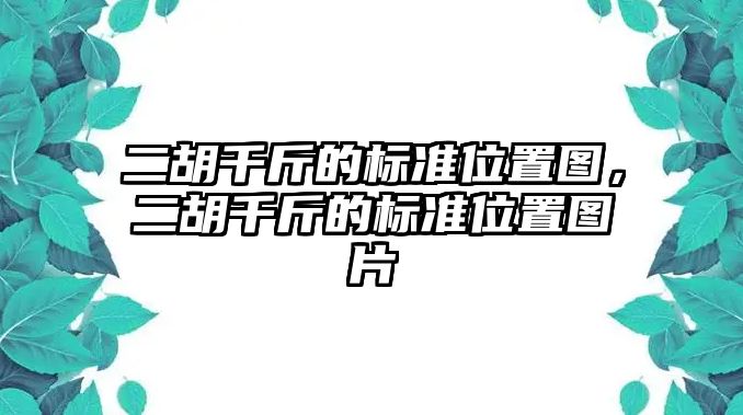 二胡千斤的標準位置圖，二胡千斤的標準位置圖片