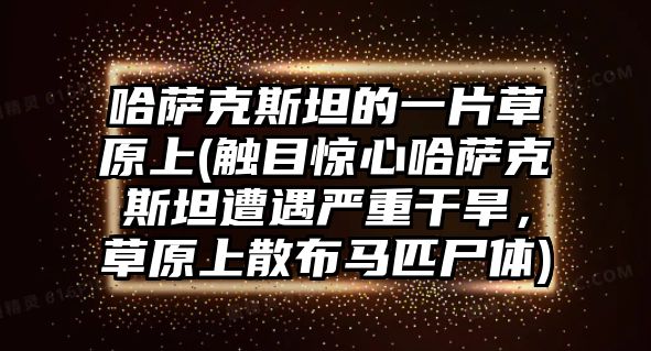 哈薩克斯坦的一片草原上(觸目驚心哈薩克斯坦遭遇嚴(yán)重干旱，草原上散布馬匹尸體)