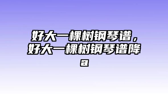 好大一棵樹鋼琴譜，好大一棵樹鋼琴譜降a