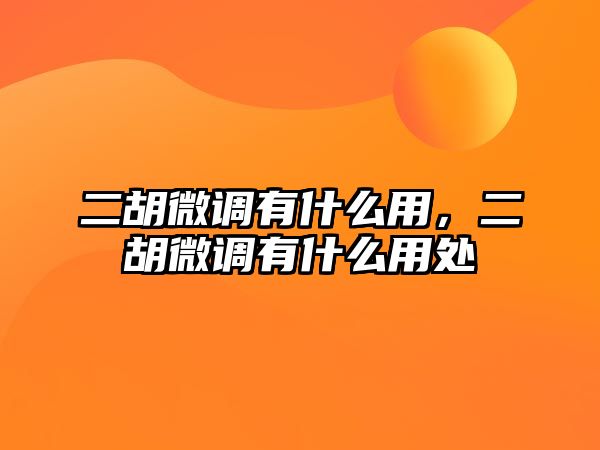 二胡微調有什么用，二胡微調有什么用處