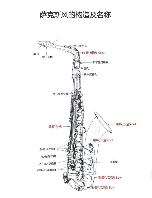 三張圖帶你認識薩克斯！初學者必備薩克斯結構圖文詳解