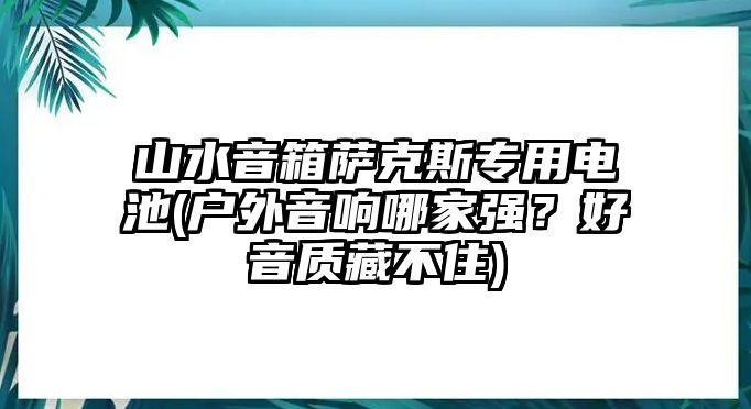 山水音箱薩克斯專用電池(戶外音響哪家強？好音質藏不住)