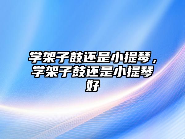 學架子鼓還是小提琴，學架子鼓還是小提琴好