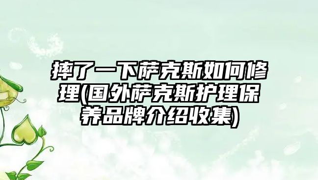 摔了一下薩克斯如何修理(國(guó)外薩克斯護(hù)理保養(yǎng)品牌介紹收集)