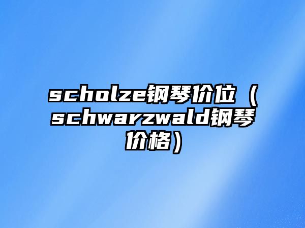 scholze鋼琴價位（schwarzwald鋼琴價格）