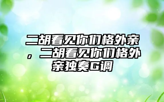 二胡看見你們格外親，二胡看見你們格外親獨奏G調