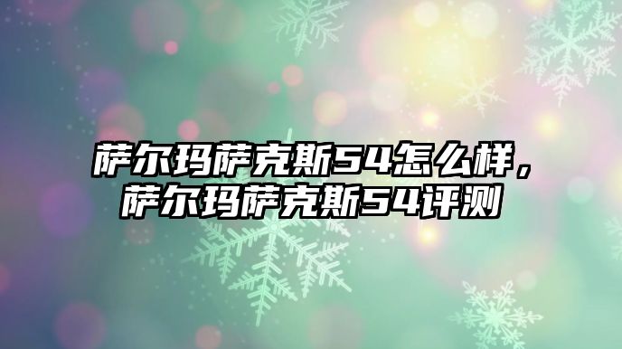 薩爾瑪薩克斯54怎么樣，薩爾瑪薩克斯54評(píng)測(cè)