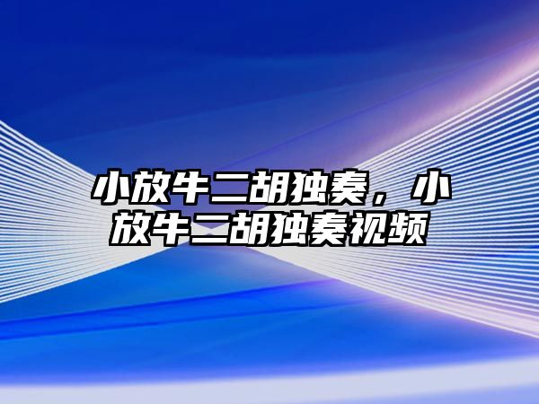 小放牛二胡獨奏，小放牛二胡獨奏視頻