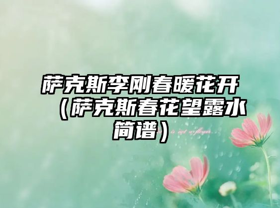 薩克斯李剛春暖花開（薩克斯春花望露水簡譜）