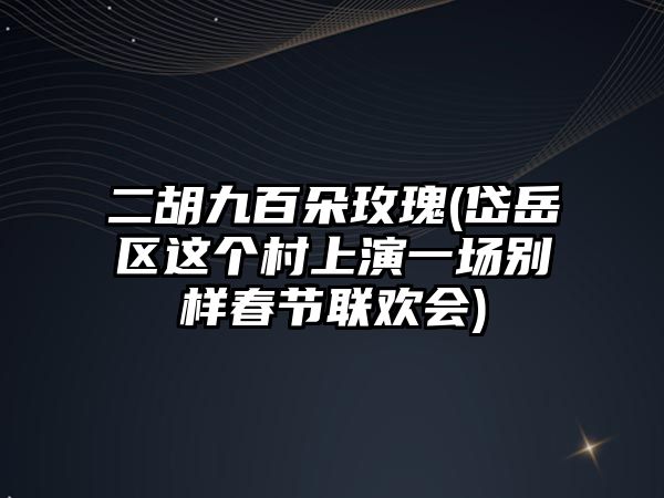 二胡九百朵玫瑰(岱岳區這個村上演一場別樣春節聯歡會)