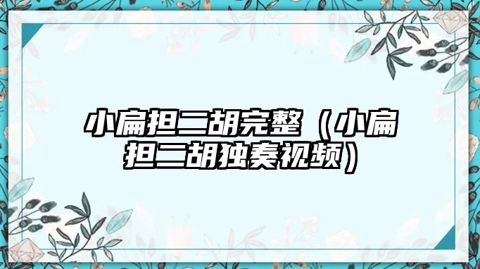 小扁擔二胡完整（小扁擔二胡獨奏視頻）