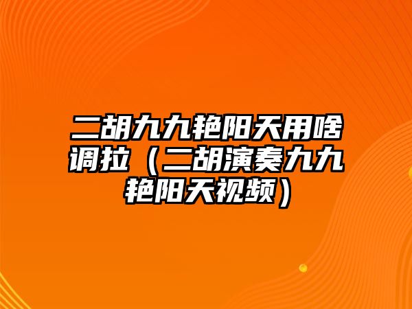 二胡九九艷陽天用啥調拉（二胡演奏九九艷陽天視頻）