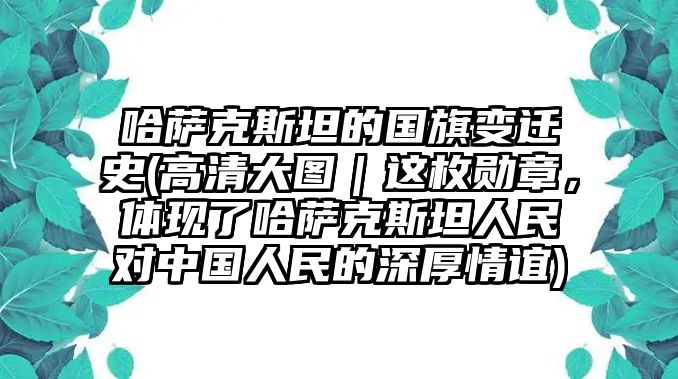 哈薩克斯坦的國旗變遷史(高清大圖｜這枚勛章，體現了哈薩克斯坦人民對中國人民的深厚情誼)