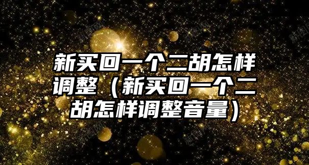 新買回一個二胡怎樣調整（新買回一個二胡怎樣調整音量）