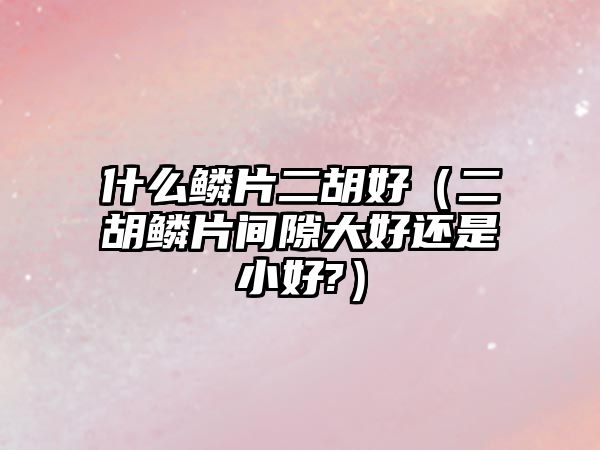 什么鱗片二胡好（二胡鱗片間隙大好還是小好?）