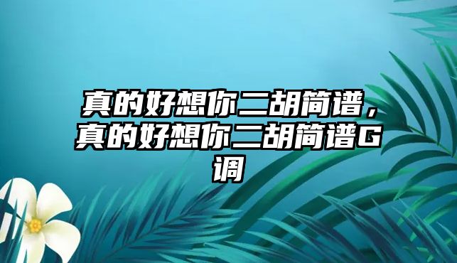 真的好想你二胡簡譜，真的好想你二胡簡譜G調