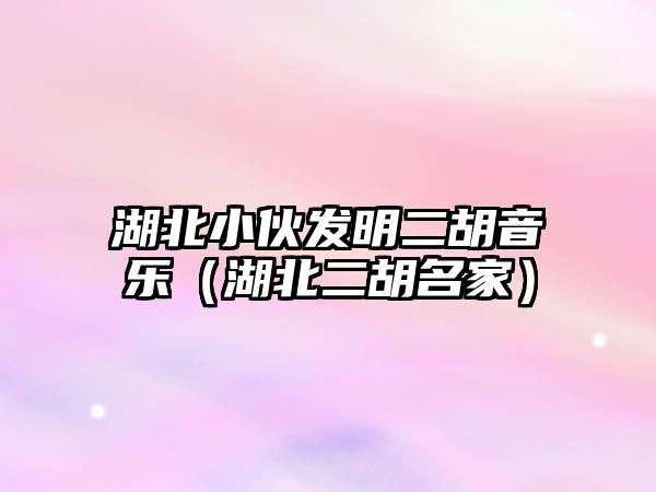 湖北小伙發明二胡音樂（湖北二胡名家）