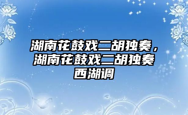 湖南花鼓戲二胡獨奏，湖南花鼓戲二胡獨奏西湖調