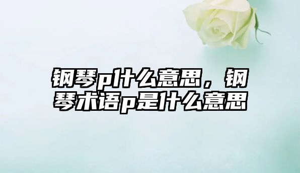 鋼琴p什么意思，鋼琴術(shù)語p是什么意思