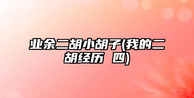 業(yè)余二胡小胡子(我的二胡經(jīng)歷 四)