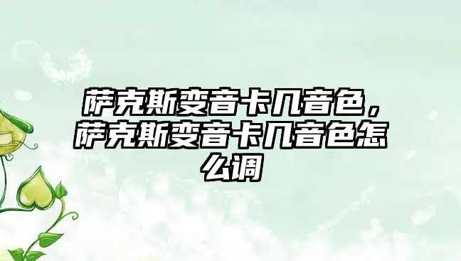 薩克斯變音卡幾音色，薩克斯變音卡幾音色怎么調