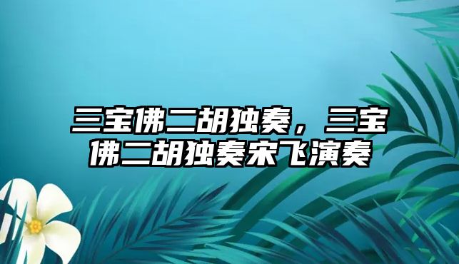 三寶佛二胡獨奏，三寶佛二胡獨奏宋飛演奏