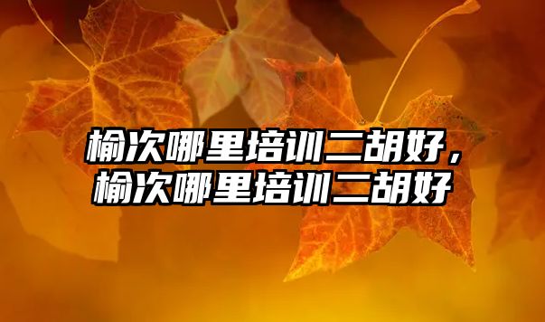 榆次哪里培訓二胡好，榆次哪里培訓二胡好