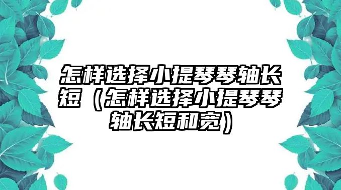 怎樣選擇小提琴琴軸長短（怎樣選擇小提琴琴軸長短和寬）