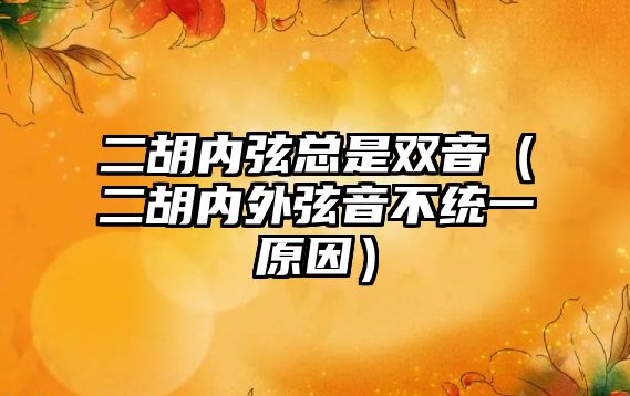 二胡內弦總是雙音（二胡內外弦音不統一原因）