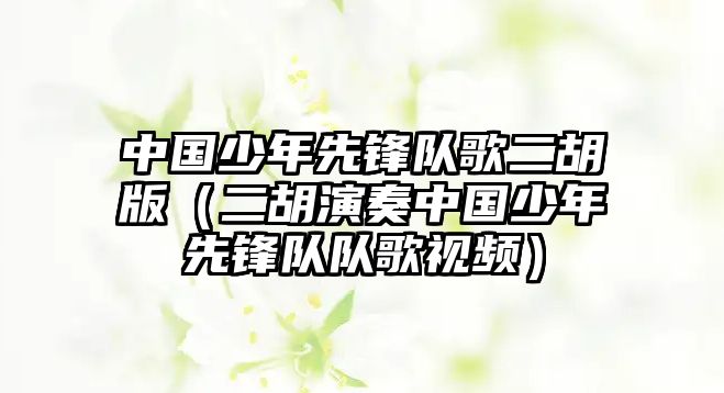 中國少年先鋒隊(duì)歌二胡版（二胡演奏中國少年先鋒隊(duì)隊(duì)歌視頻）