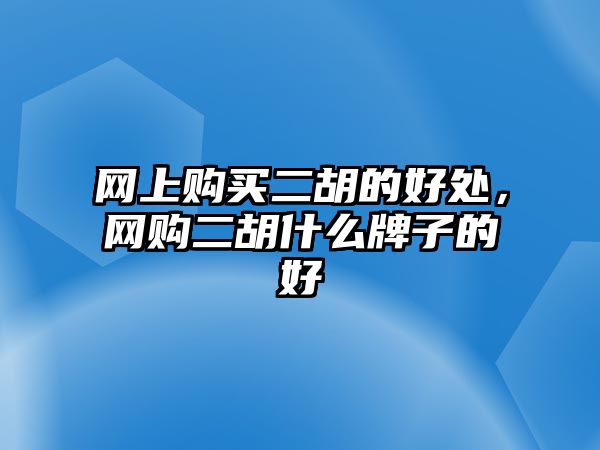 網(wǎng)上購(gòu)買二胡的好處，網(wǎng)購(gòu)二胡什么牌子的好