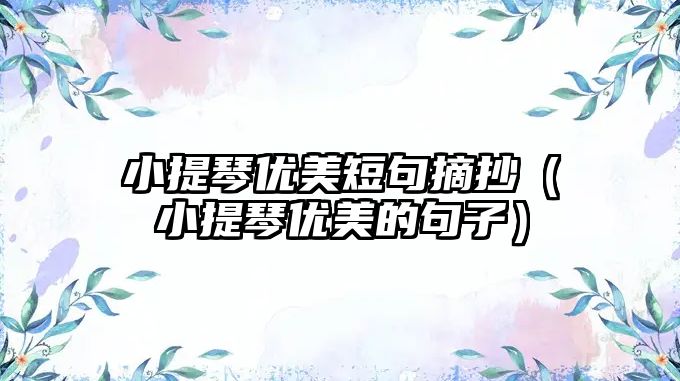 小提琴優美短句摘抄（小提琴優美的句子）