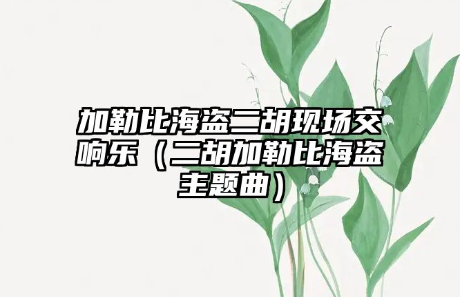 加勒比海盜二胡現場交響樂（二胡加勒比海盜主題曲）