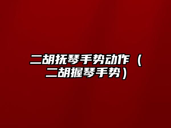 二胡撫琴手勢動作（二胡握琴手勢）