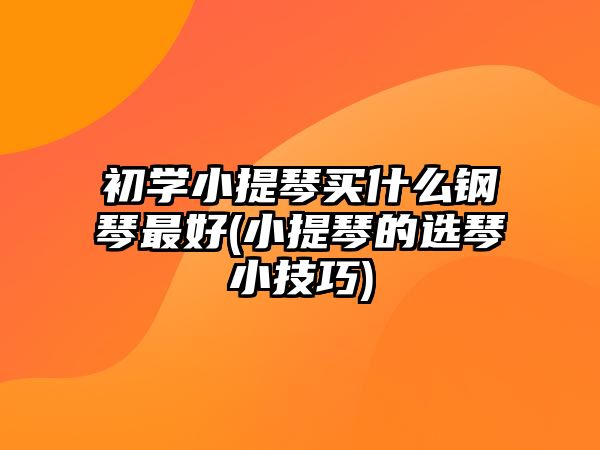 初學小提琴買什么鋼琴最好(小提琴的選琴小技巧)