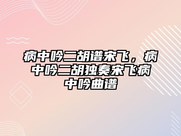 病中吟二胡譜宋飛，病中吟二胡獨奏宋飛病中吟曲譜