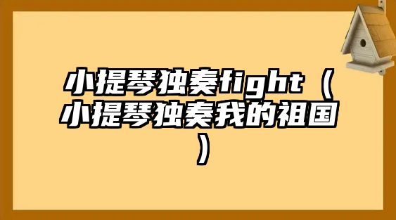 小提琴獨奏fight（小提琴獨奏我的祖國）