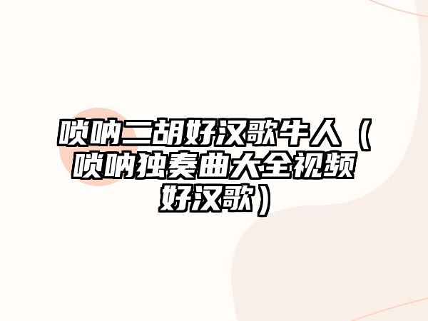 嗩吶二胡好漢歌牛人（嗩吶獨奏曲大全視頻好漢歌）