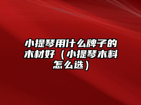 小提琴用什么牌子的木材好（小提琴木料怎么選）