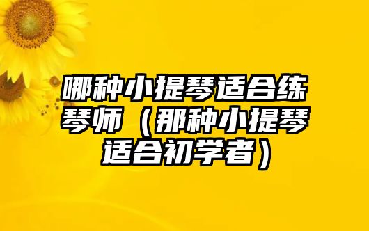 哪種小提琴適合練琴師（那種小提琴適合初學者）