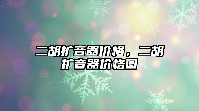 二胡擴音器價格，二胡擴音器價格圖