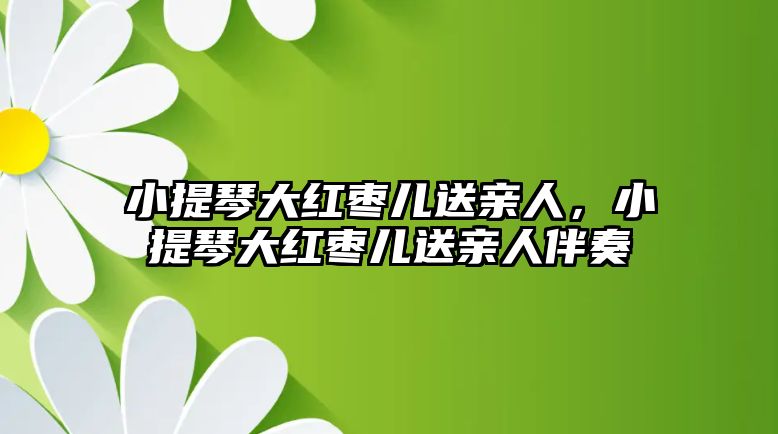 小提琴大紅棗兒送親人，小提琴大紅棗兒送親人伴奏