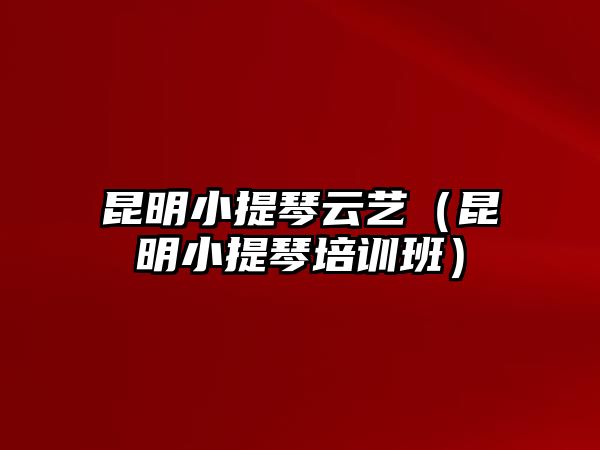 昆明小提琴云藝（昆明小提琴培訓班）